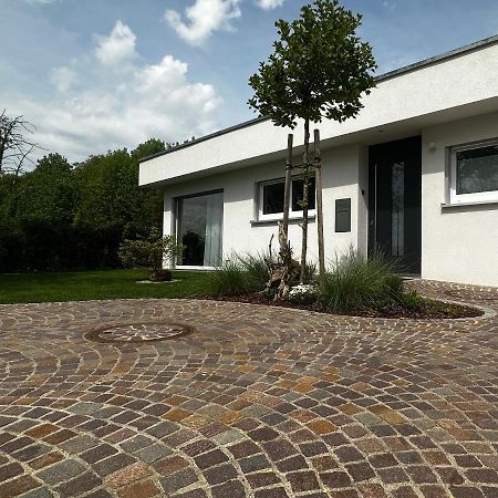 Moderne Ferienwohnung Rhenum Mit Wallbox Waldshut-Tiengen Ngoại thất bức ảnh