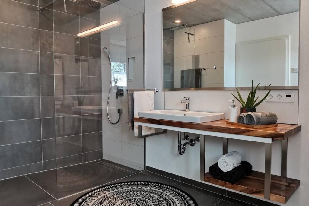 Moderne Ferienwohnung Rhenum Mit Wallbox Waldshut-Tiengen Ngoại thất bức ảnh