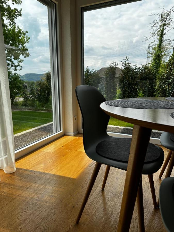 Moderne Ferienwohnung Rhenum Mit Wallbox Waldshut-Tiengen Ngoại thất bức ảnh