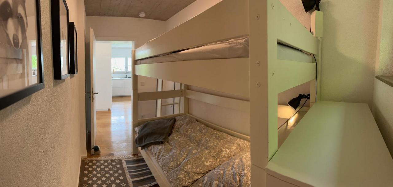 Moderne Ferienwohnung Rhenum Mit Wallbox Waldshut-Tiengen Ngoại thất bức ảnh
