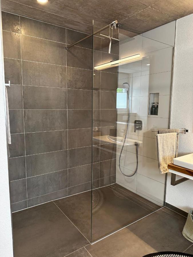 Moderne Ferienwohnung Rhenum Mit Wallbox Waldshut-Tiengen Ngoại thất bức ảnh