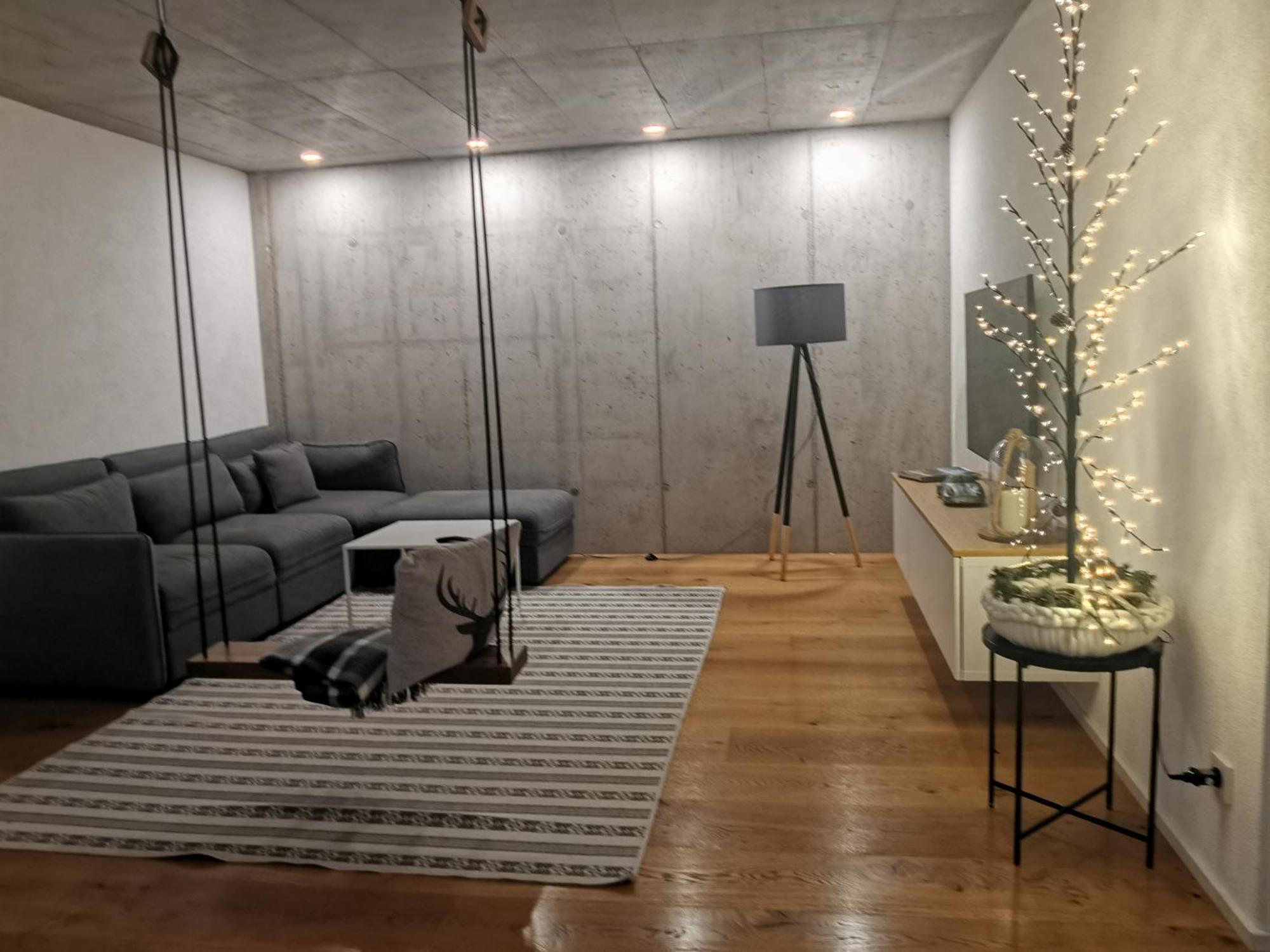 Moderne Ferienwohnung Rhenum Mit Wallbox Waldshut-Tiengen Ngoại thất bức ảnh